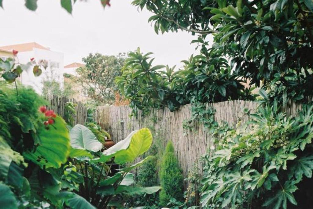 Apartment With Private Garden ポルト 部屋 写真